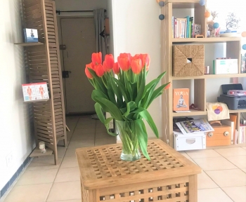 Location Appartement 2 pièces Pernes-les-Fontaines (84210)