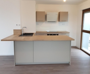 Location Appartement avec terrasse 3 pièces Strasbourg (67000) - 67100