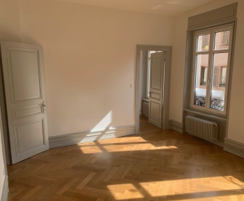 Location Appartement neuf 3 pièces Sélestat (67600) - CV